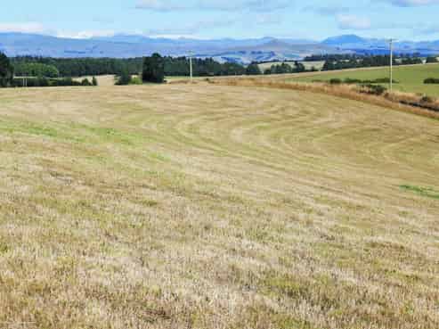 Alma-Maheno Road, Oamaru