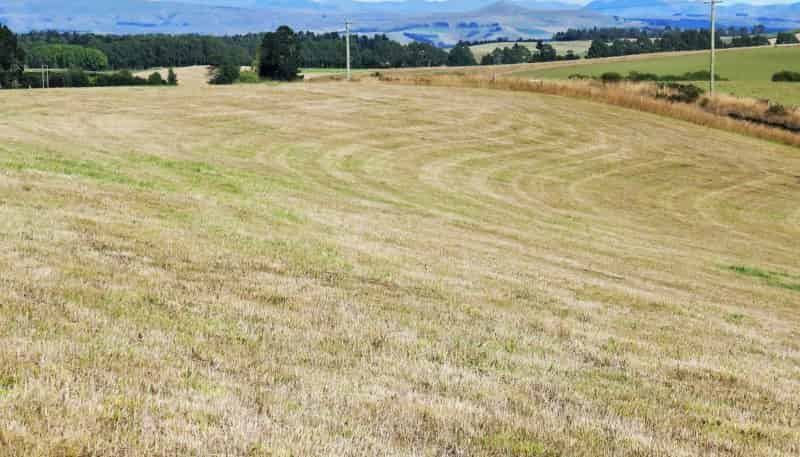  Alma-Maheno Road, Oamaru