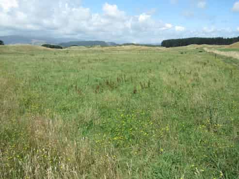  Kristin Place, Manakau