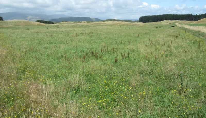  Kristin Place, Manakau