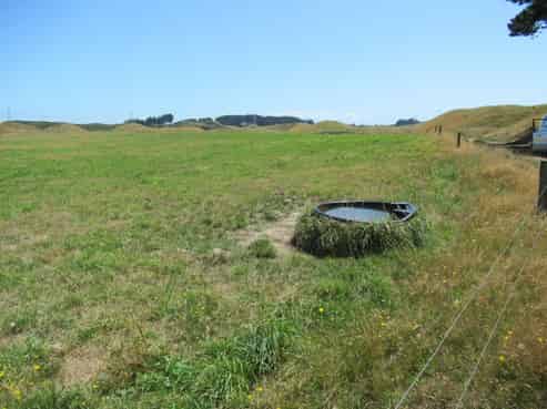  Kristin Place, Manakau