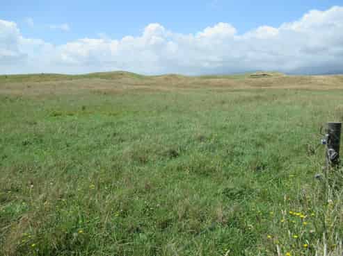  Kristin Place, Manakau