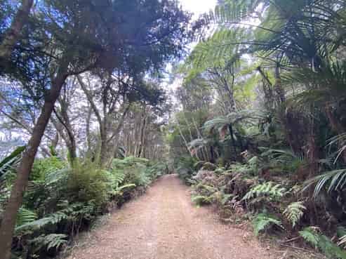 226 Peria Road, Peria