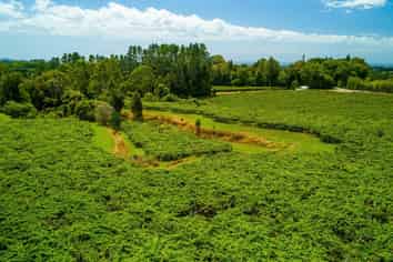 792 No 2 Road, Te Puke