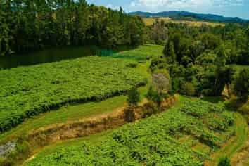 792 No 2 Road, Te Puke