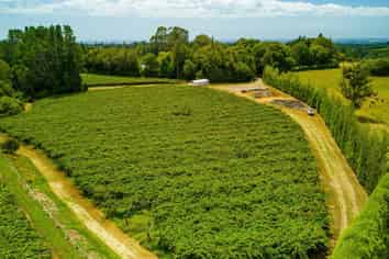 792 No 2 Road, Te Puke