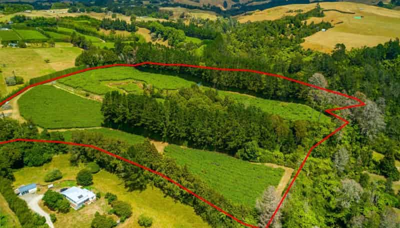 792 No 2 Road, Te Puke