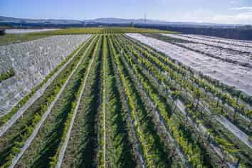 288 Georges Road, Waipara