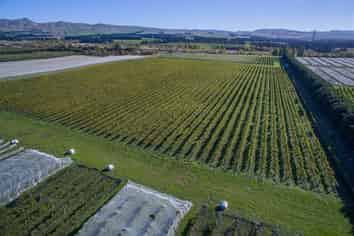 288 Georges Road, Waipara