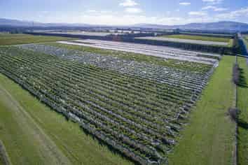 288 Georges Road, Waipara