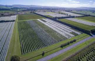 288 Georges Road, Waipara