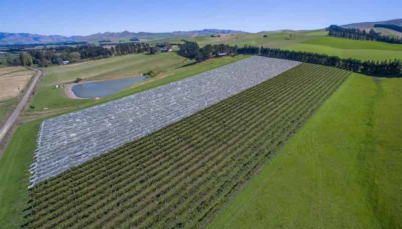 337 Mackenzies Road, Waipara