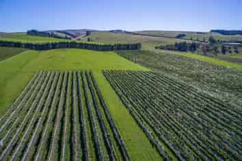 337 Mackenzies Road, Waipara