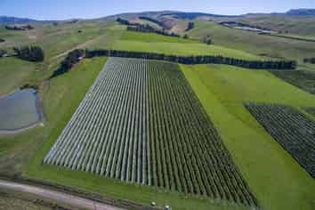 337 Mackenzies Road, Waipara