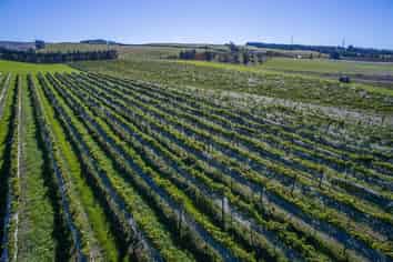 337 Mackenzies Road, Waipara