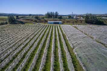 73 Mackenzies Road, Waipara