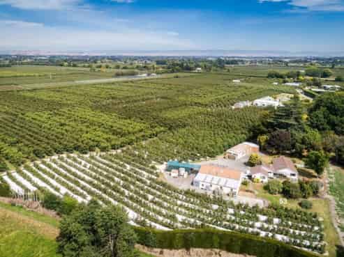 53 Grasmere Avenue, Karamu