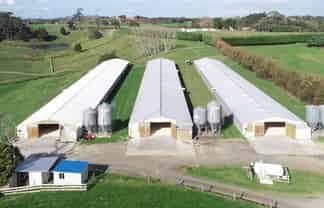 Auckland - Address withheld