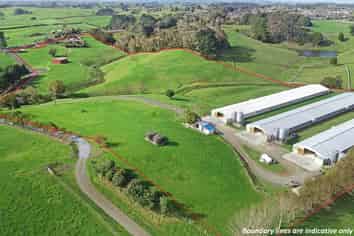 Auckland - Address withheld