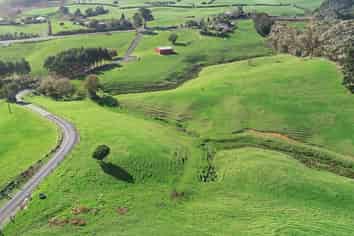 Auckland - Address withheld