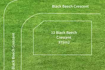 12 Black Beech Crescent, Takanini