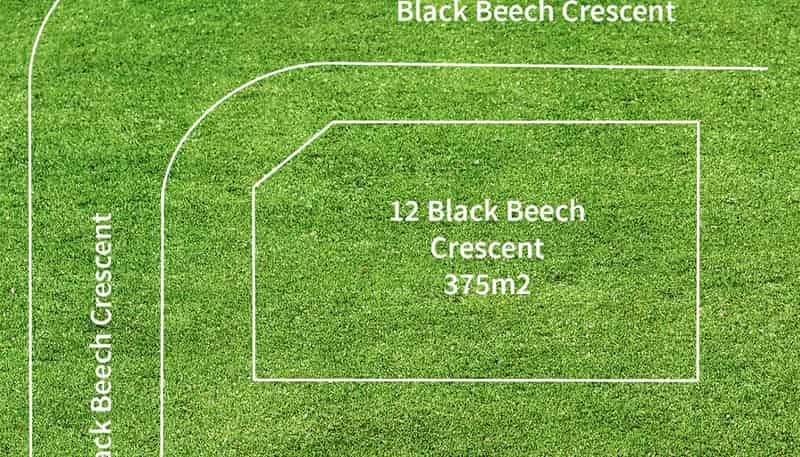 12 Black Beech Crescent, Takanini