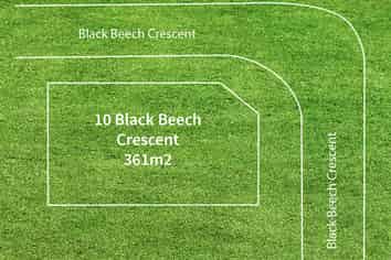 10 Black Beech Crescent, Takanini