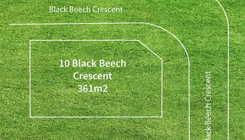 10 Black Beech Crescent, Takanini