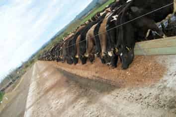 672 Ruawhata Road, Pahiatua