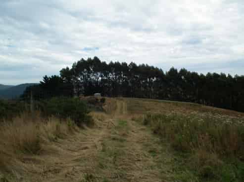 Waianakarua - Mount Misery Road, Waianakarua