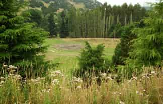  Waianakarua - Mount Misery Road, Waianakarua