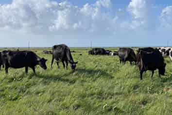 641 Cape Foulwind Road, Cape Foulwind