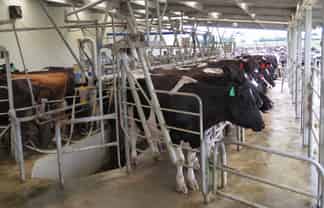 1315 Limehills Browns Road, Browns