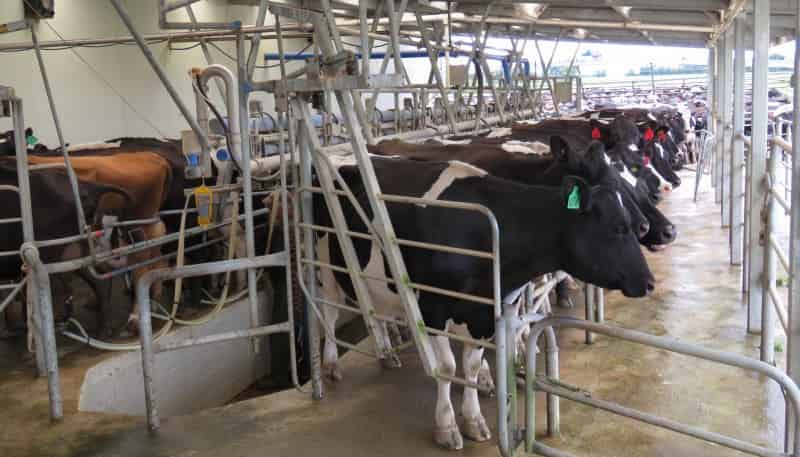 1315 Limehills Browns Road, Browns