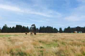 25 Mt York Road, Te Anau