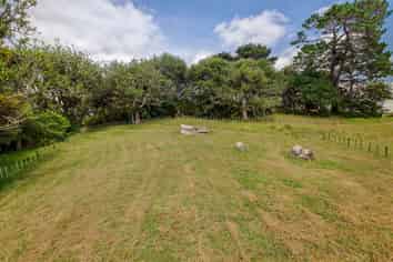 986 Wainui Road, Wainui