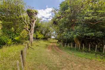 986 Wainui Road, Wainui