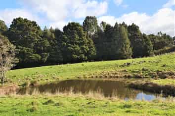 986 Wainui Road, Wainui