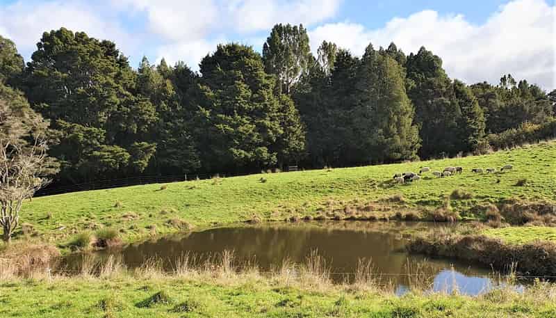 986 Wainui Road, Wainui