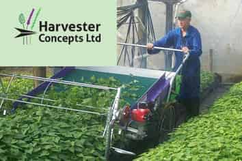 Light Engineering with Global Sales