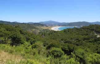 893 Tuateawa Road, Coromandel