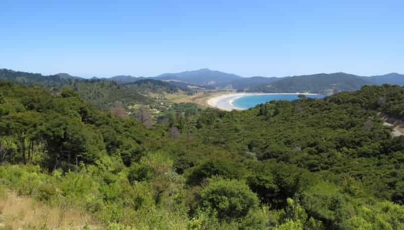 893 Tuateawa Road, Coromandel