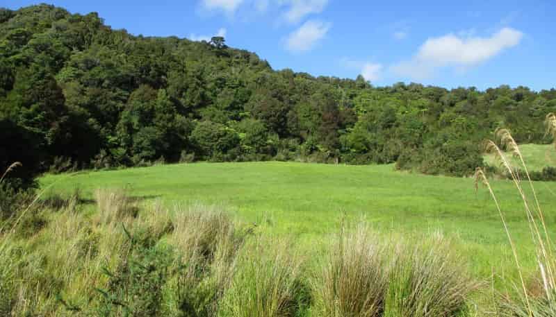 980 Marsden Road, Greymouth