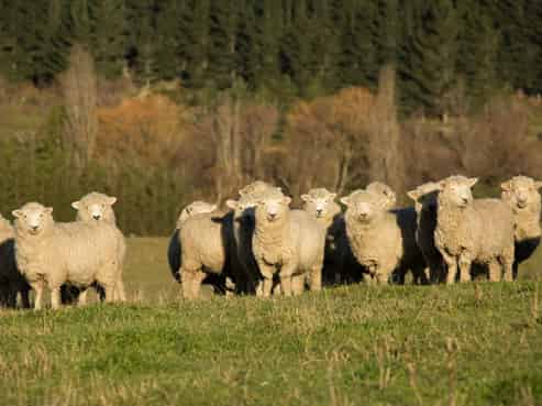 668 Chamberlain Road, Albury