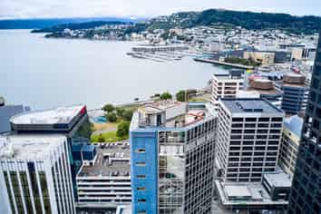 CAPITALISE IN WELLINGTON