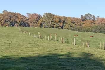  Kereone Road, Morrinsville