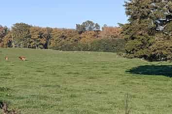  Kereone Road, Morrinsville