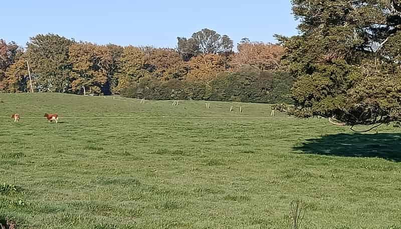  Kereone Road, Morrinsville