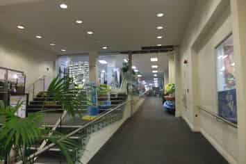 LARGE FORMAT OPPORTUNITY