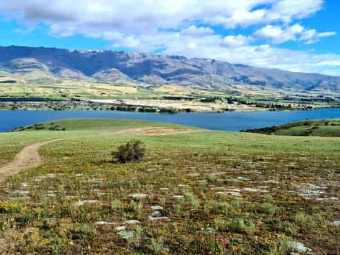 Lot 7 Bendigo Downs, Cromwell Tarras Highway, Cromwell